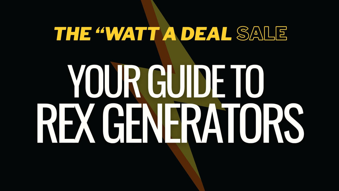Don't Get Left in the Dark: Your Guide to REX Generators